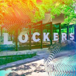 INFORMACIÓN SOBRE LOS LOCKERS DEL FESTIVAL VAIVEN 2024